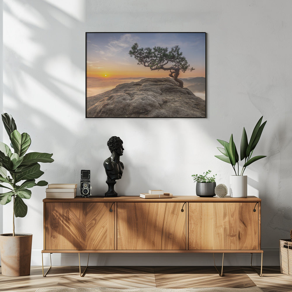 Oude den | Poster