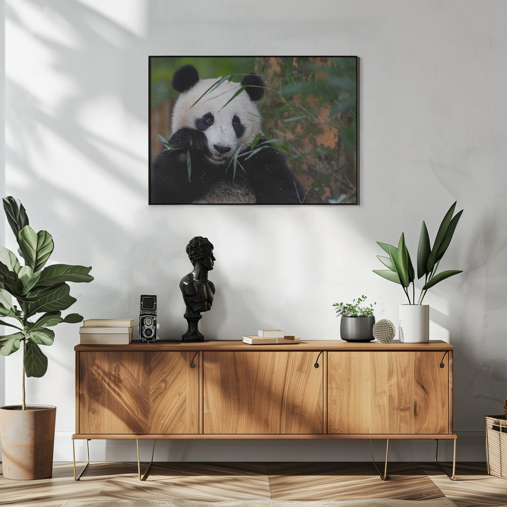 Bamboe Tijd | Poster