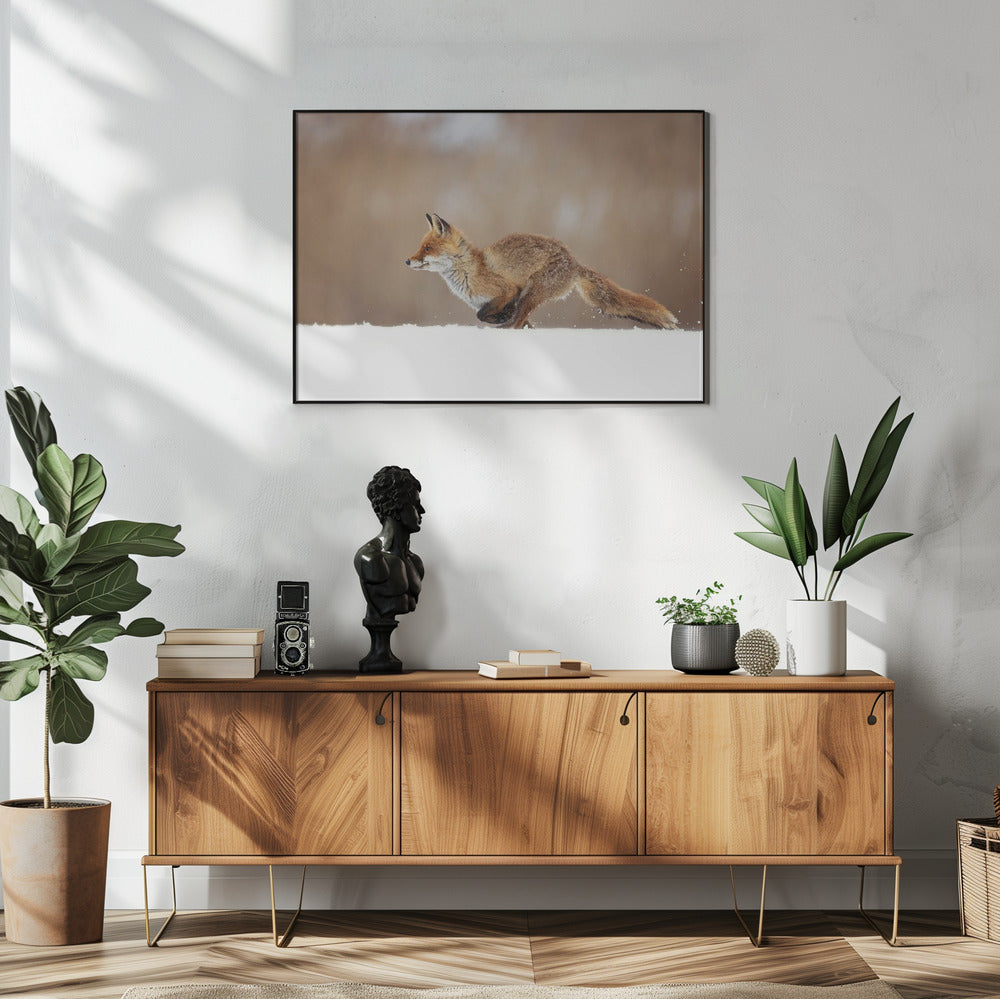 Red Fox | Poster