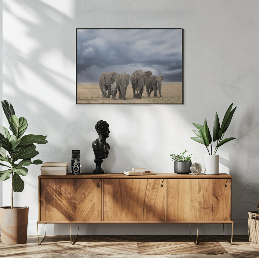Olifantenwandeling | Poster