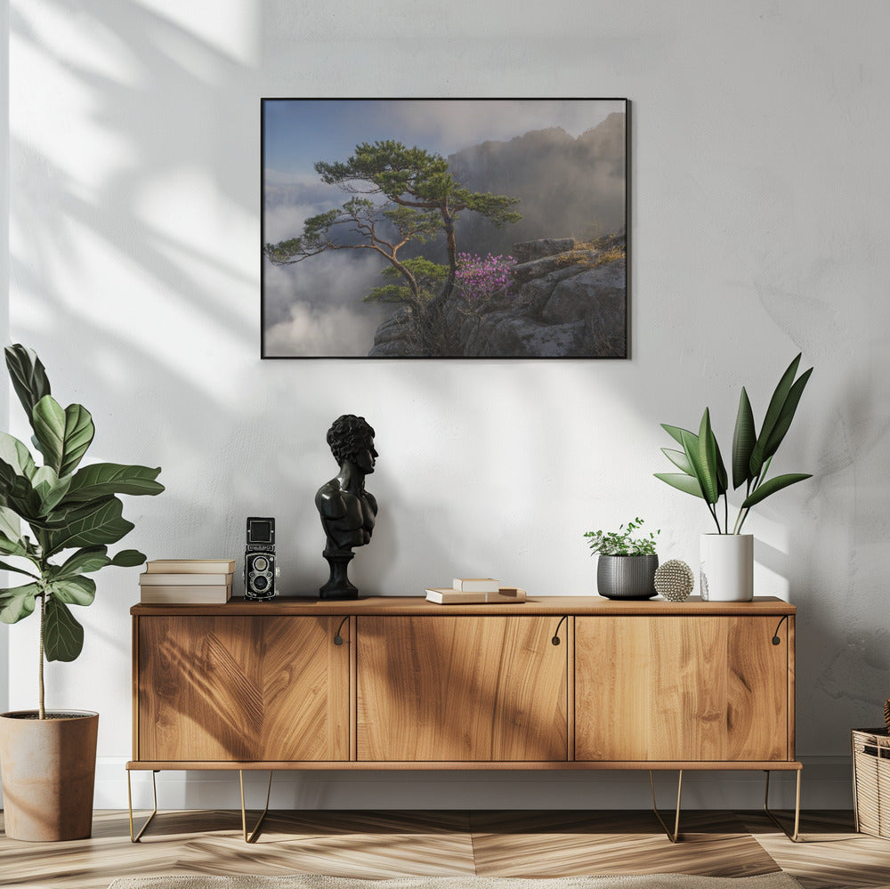 Droomdanser | Poster