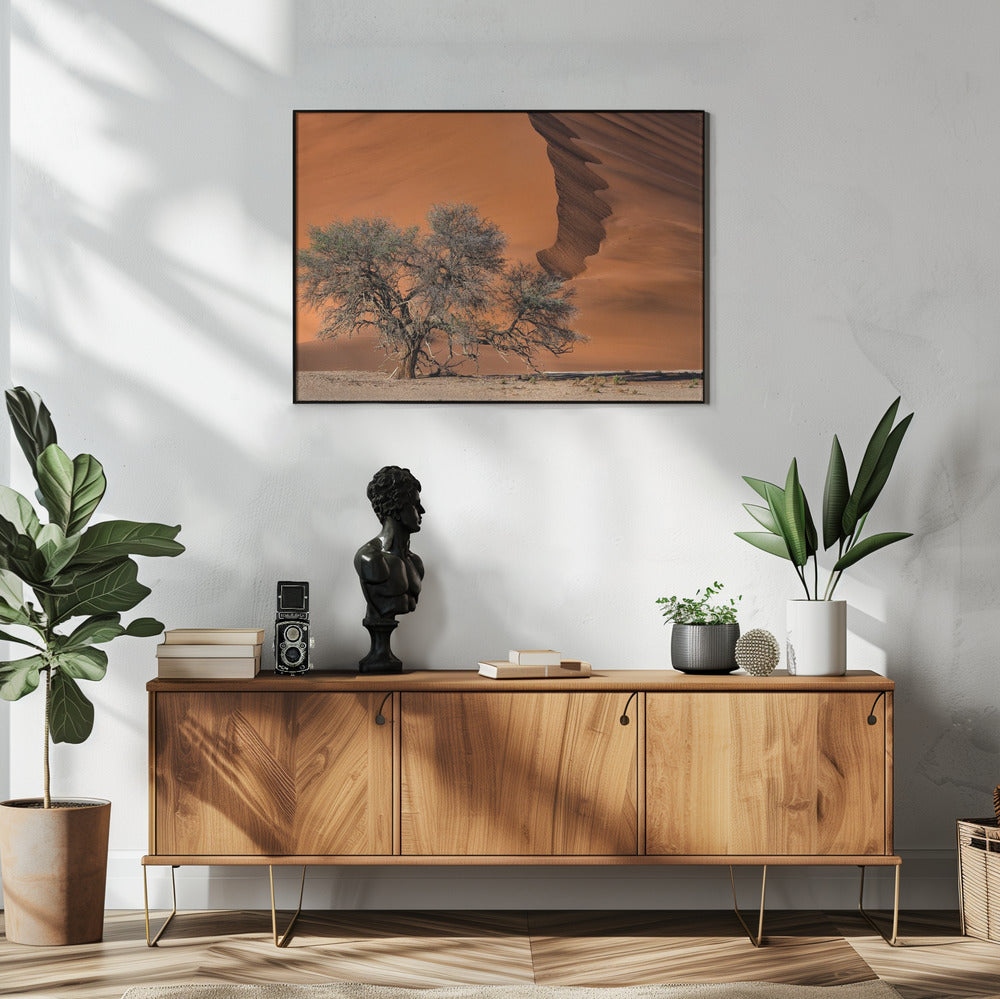 Acacia in de woestijn | Poster