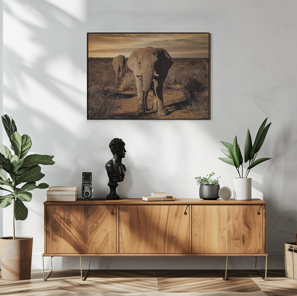 Grote | Poster