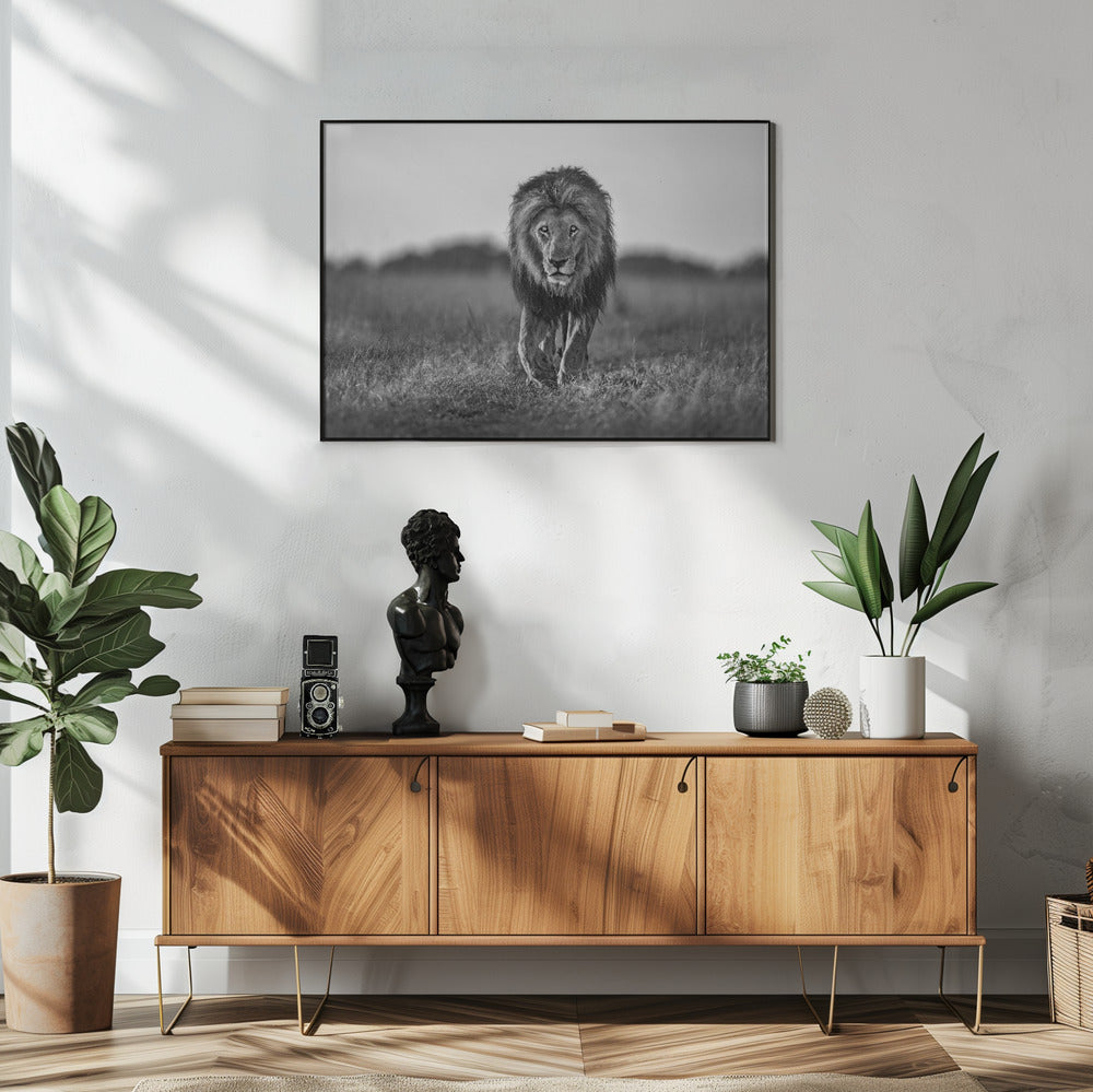 Oude jongen | Poster