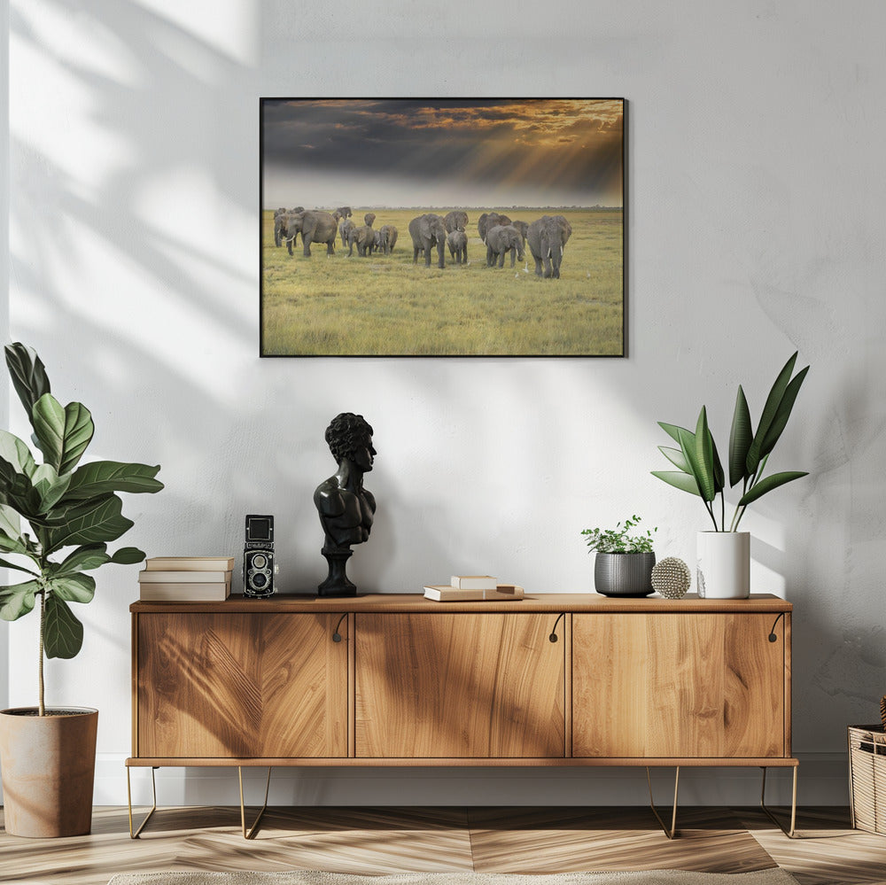 Uit liefde voor olifanten | Poster