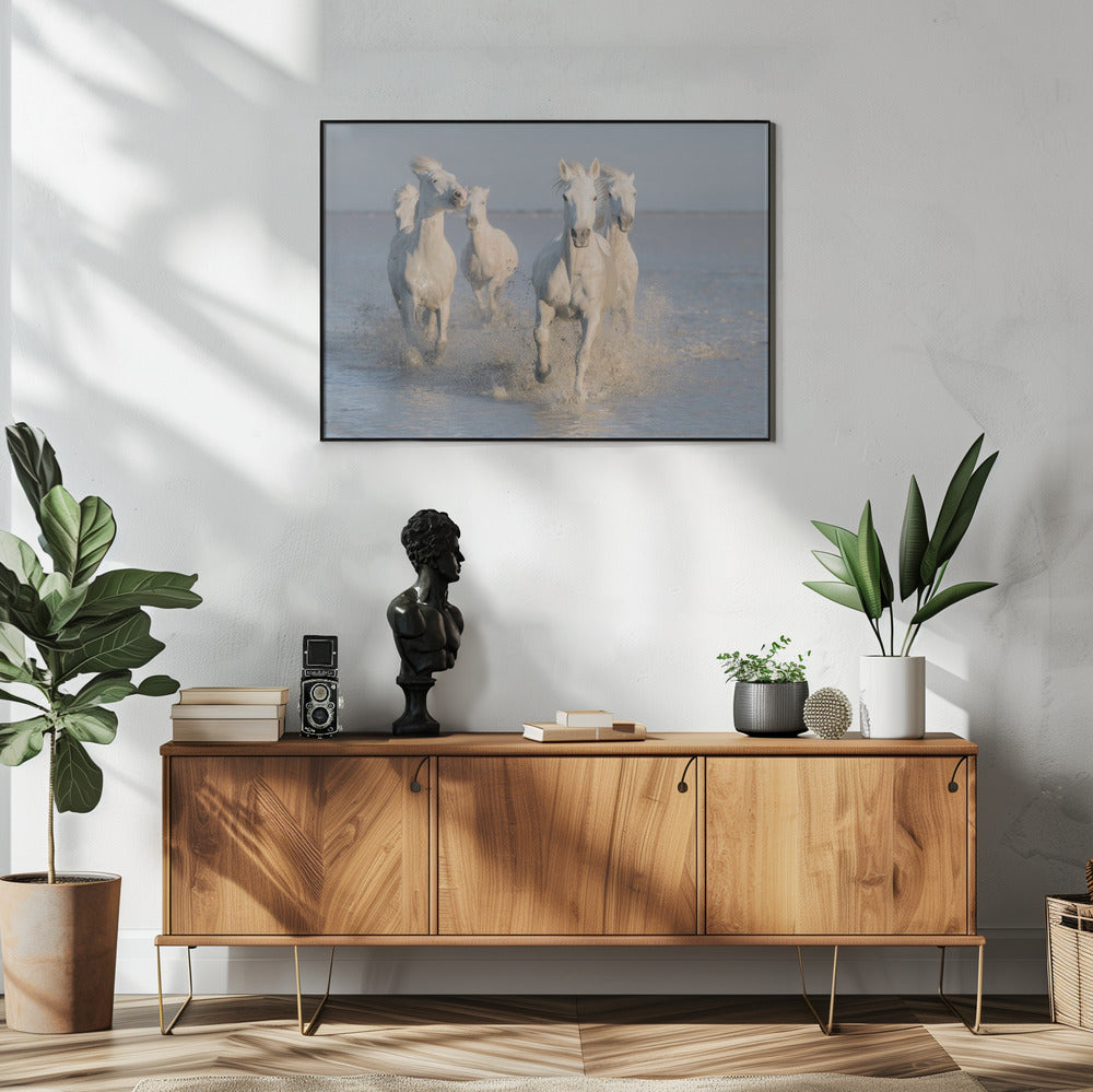 paarden | Poster