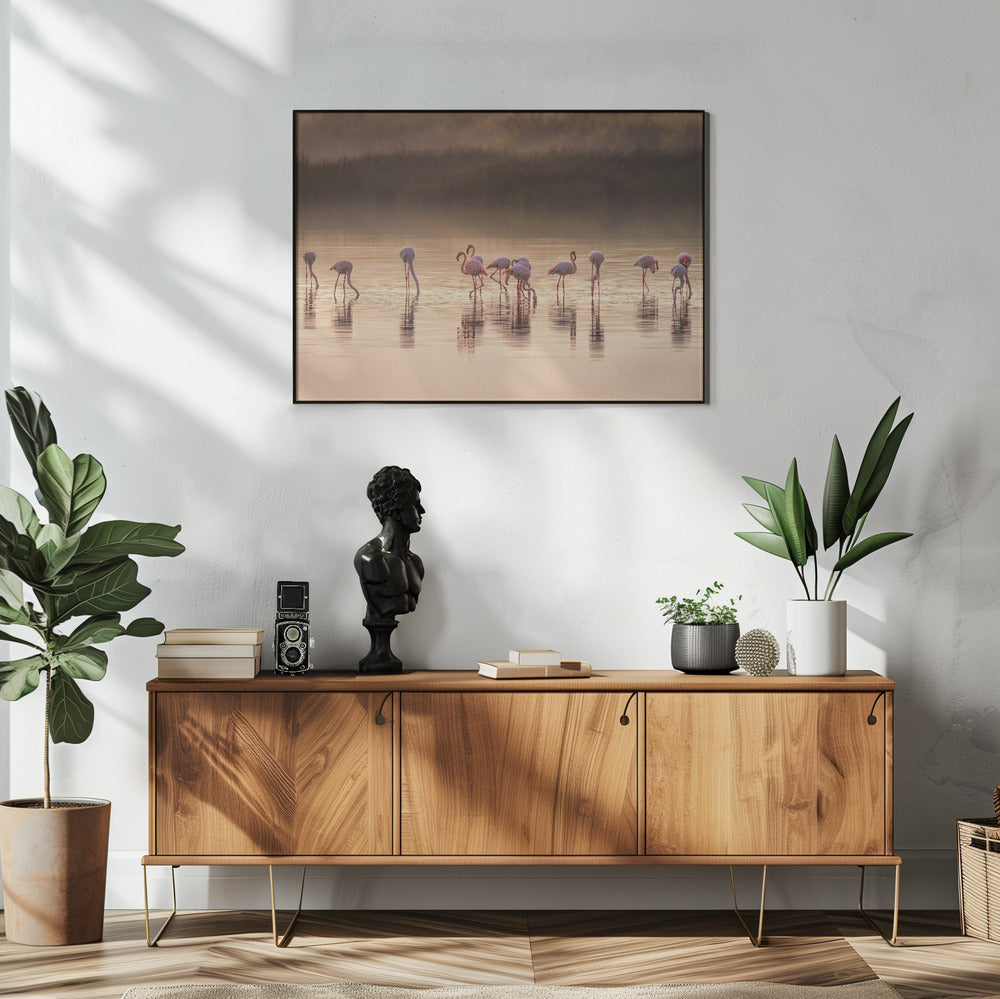 Fotografische ode aan Monet | Poster