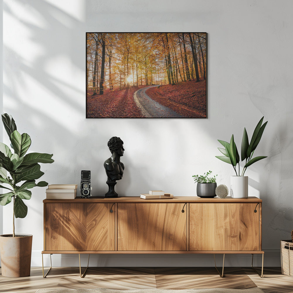Road in Söderåsen nationalpark, Sweden | Poster