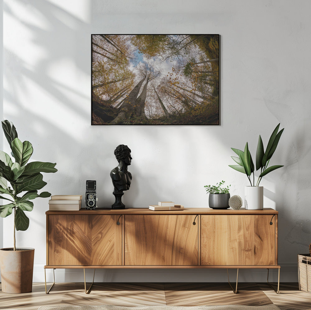 Forest | Poster