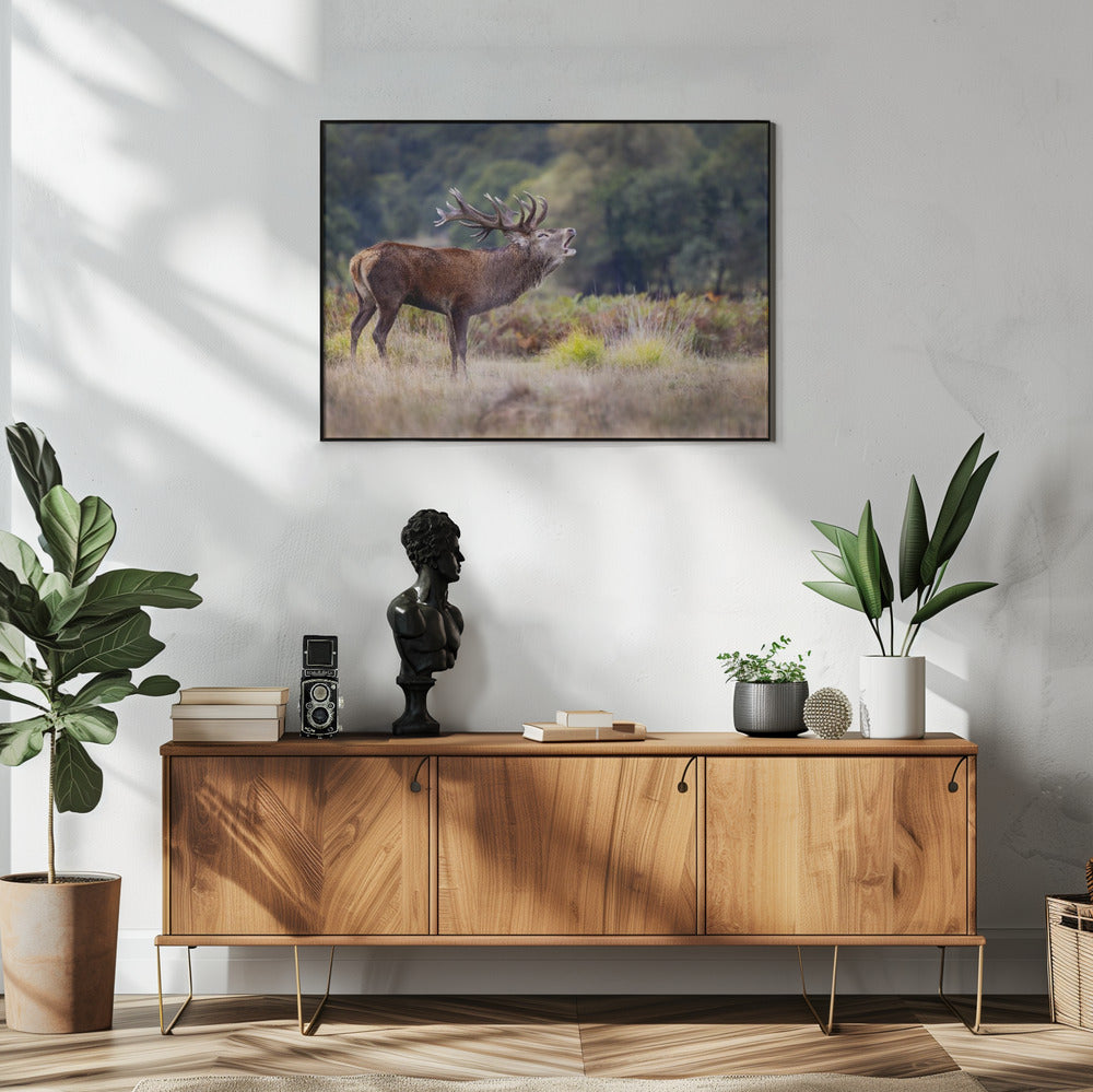 The scream of the deer | Poster