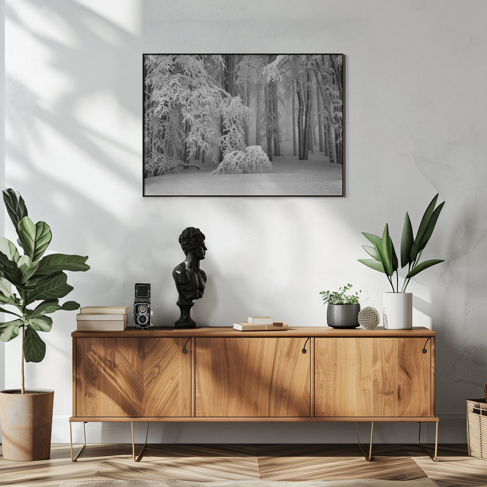 Perfecte winter | Poster