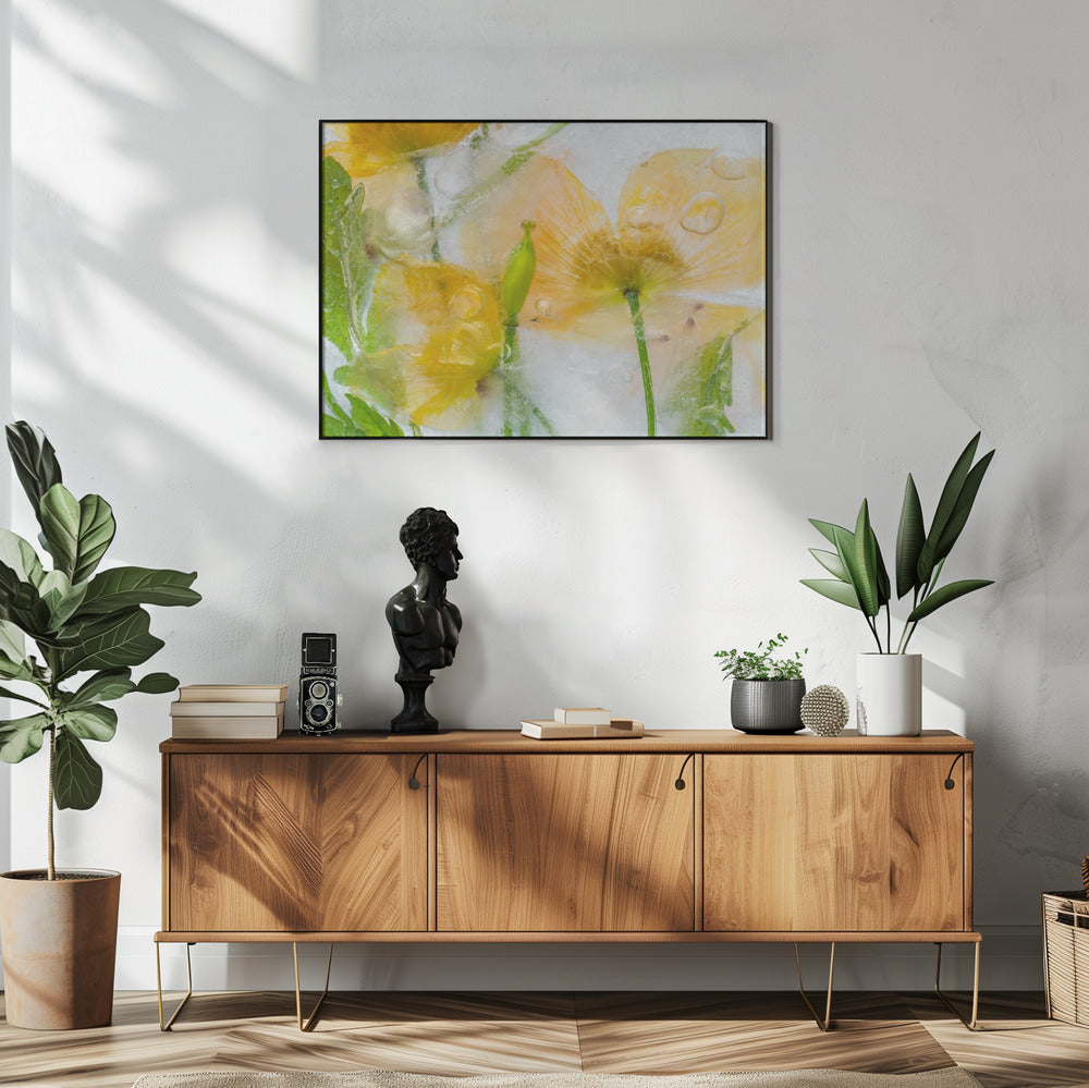 Meconopsis | Poster