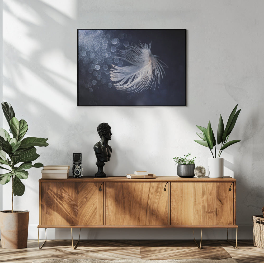 Placiditeit | Poster