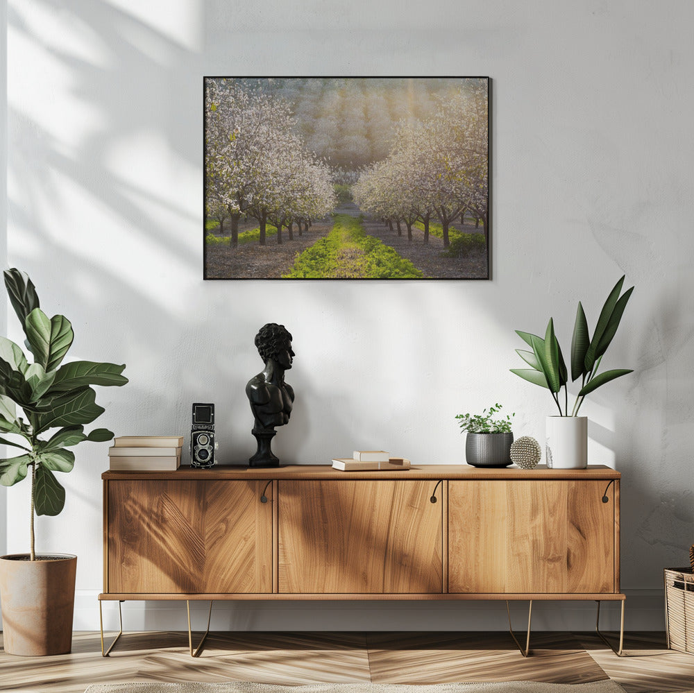 Gouden Amandelen | Poster