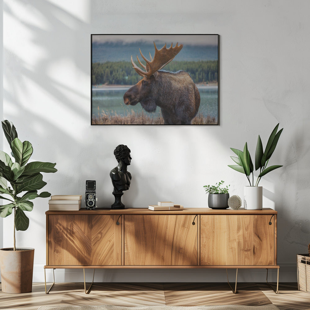 Moose | Poster