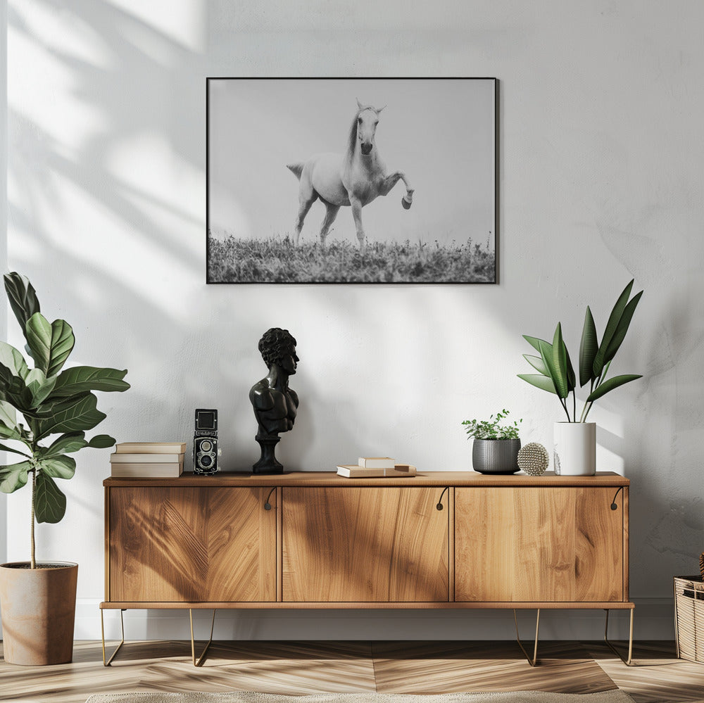 a short story about white beauty | Poster