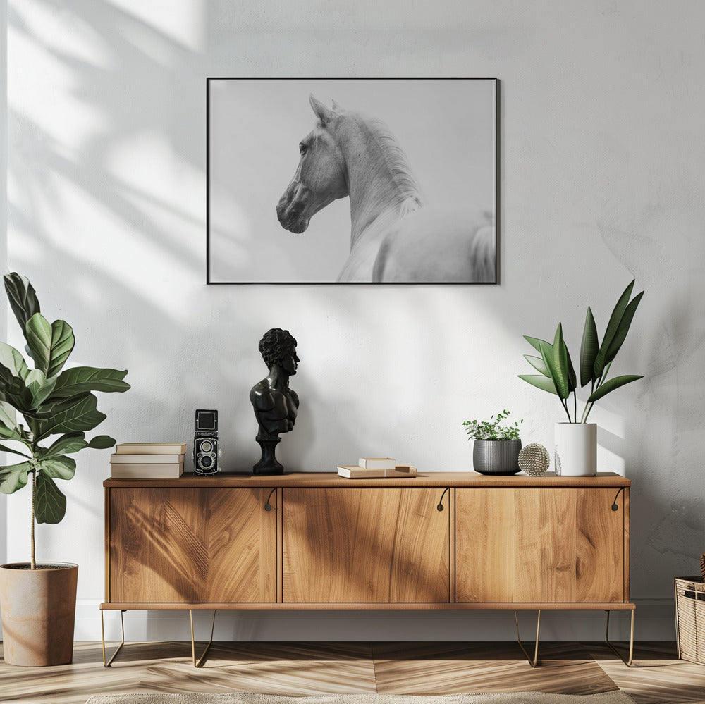 een kort verhaal over een geschoren paard | Poster
