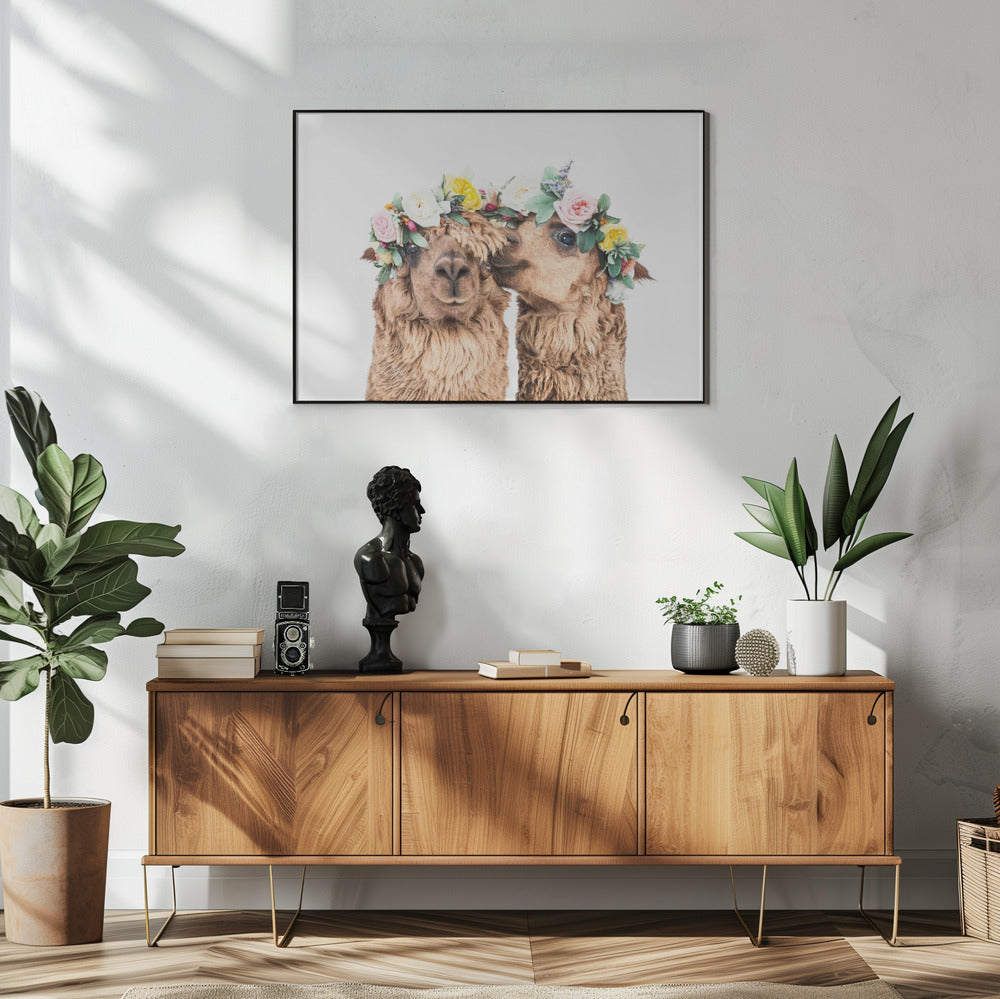 Boho Alpaca's | Poster