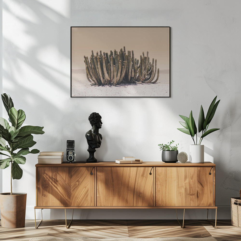 Perzikhemelcactus | Poster