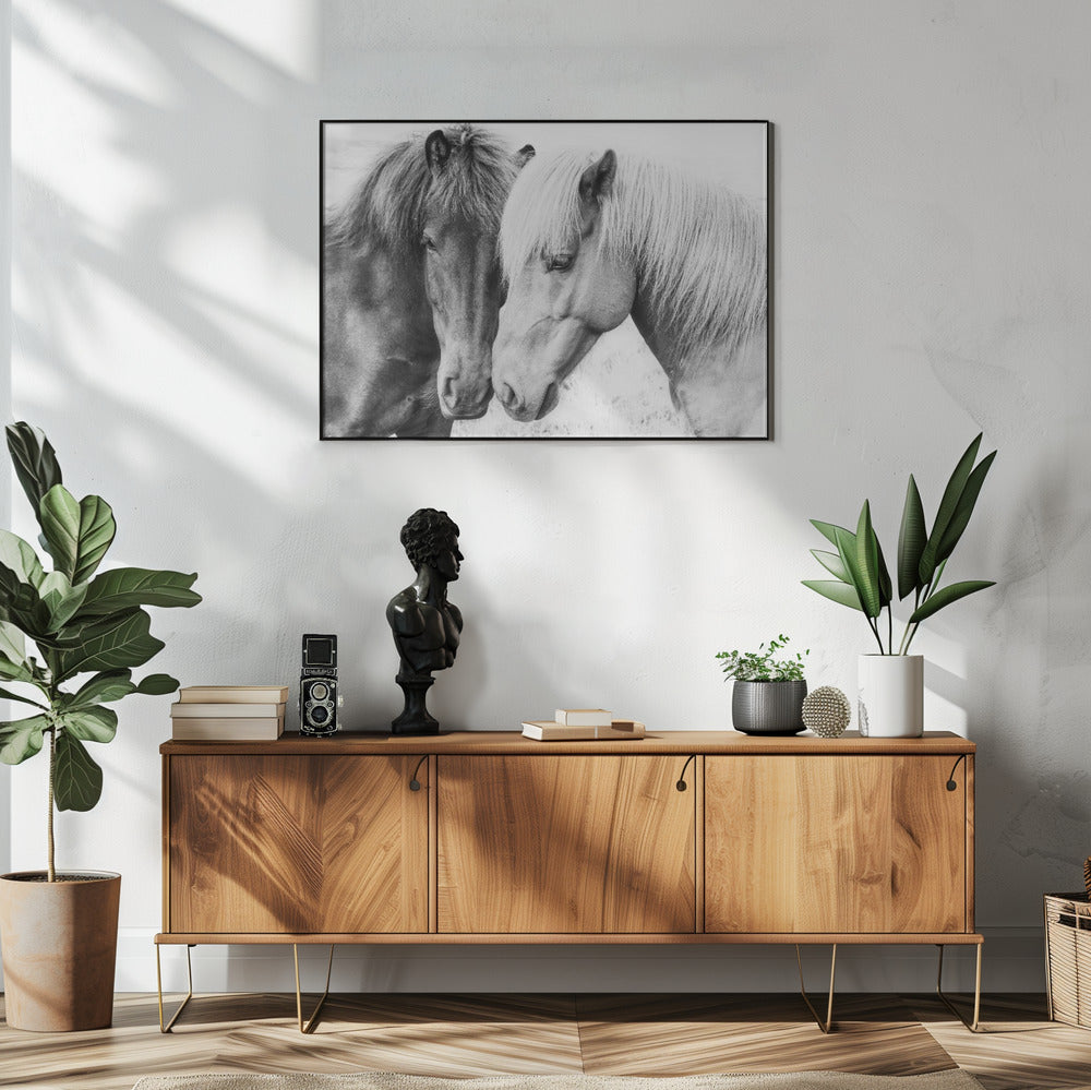 Paardenliefde | Poster