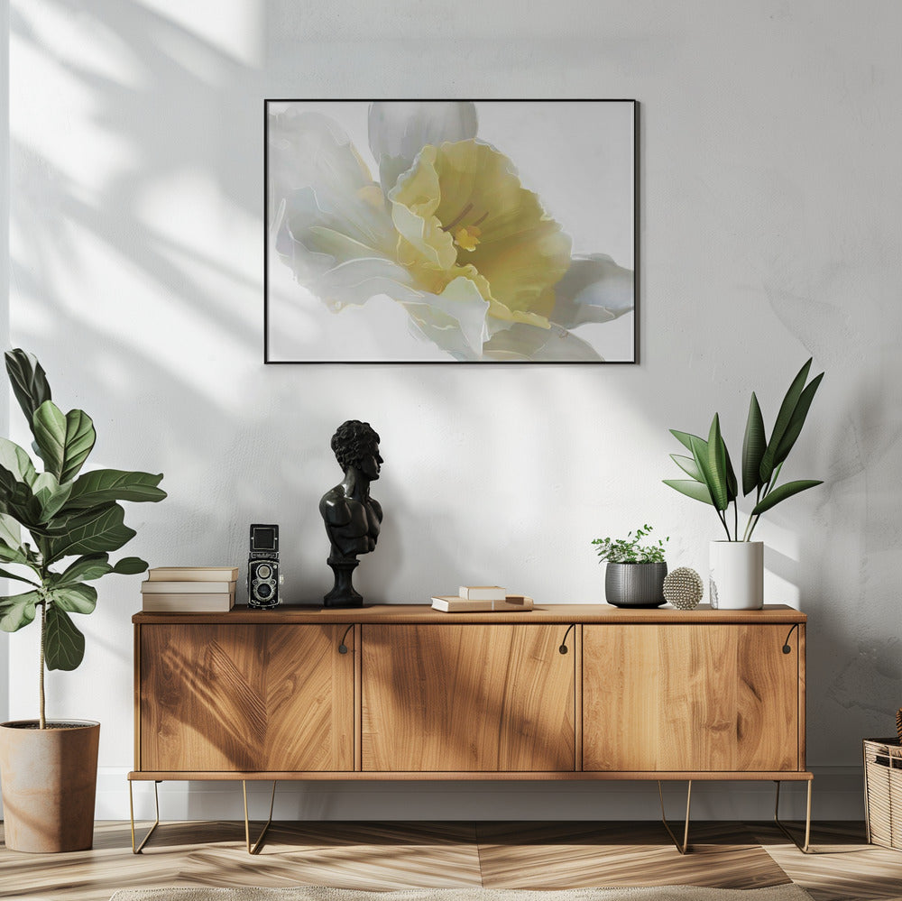Narcis | Poster