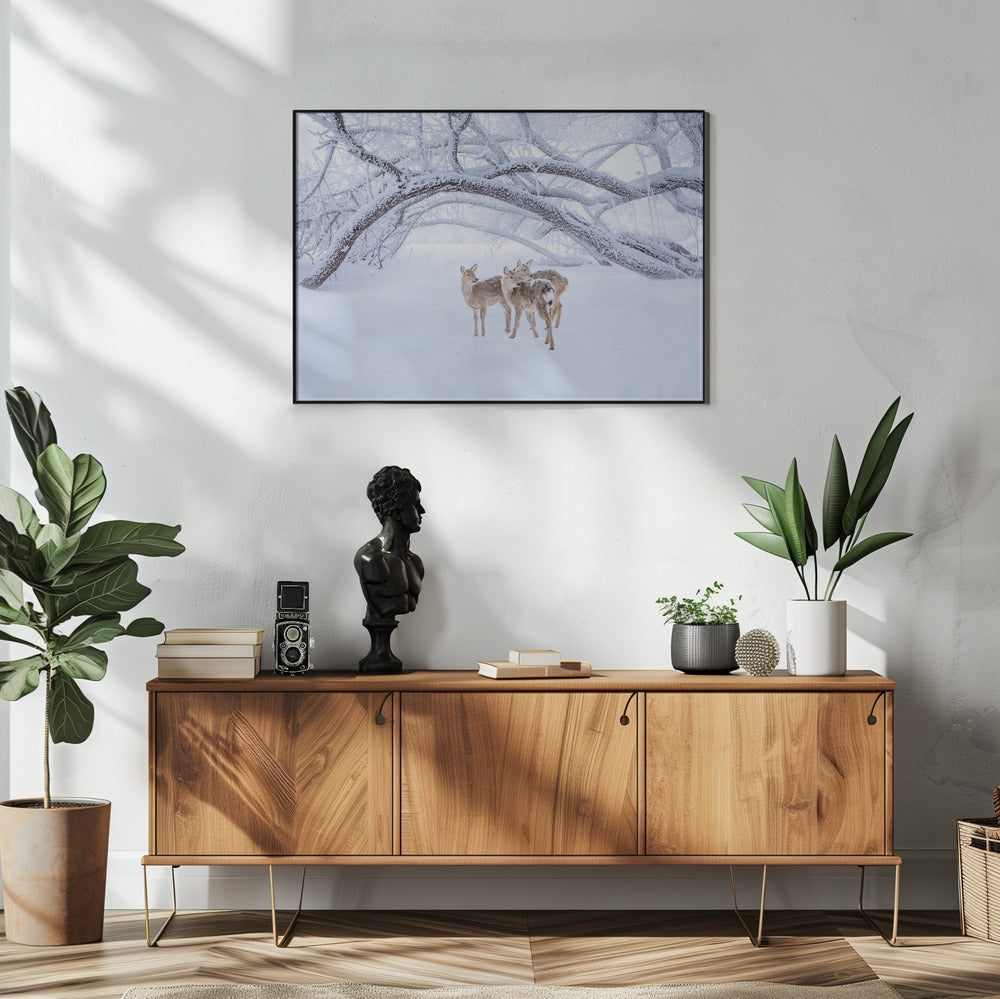 Hertenwandeling in de sneeuw | Poster