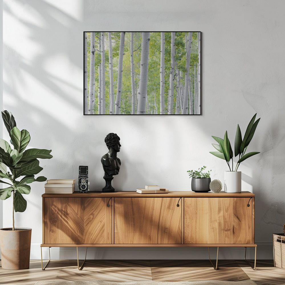 Berkenbos | Poster