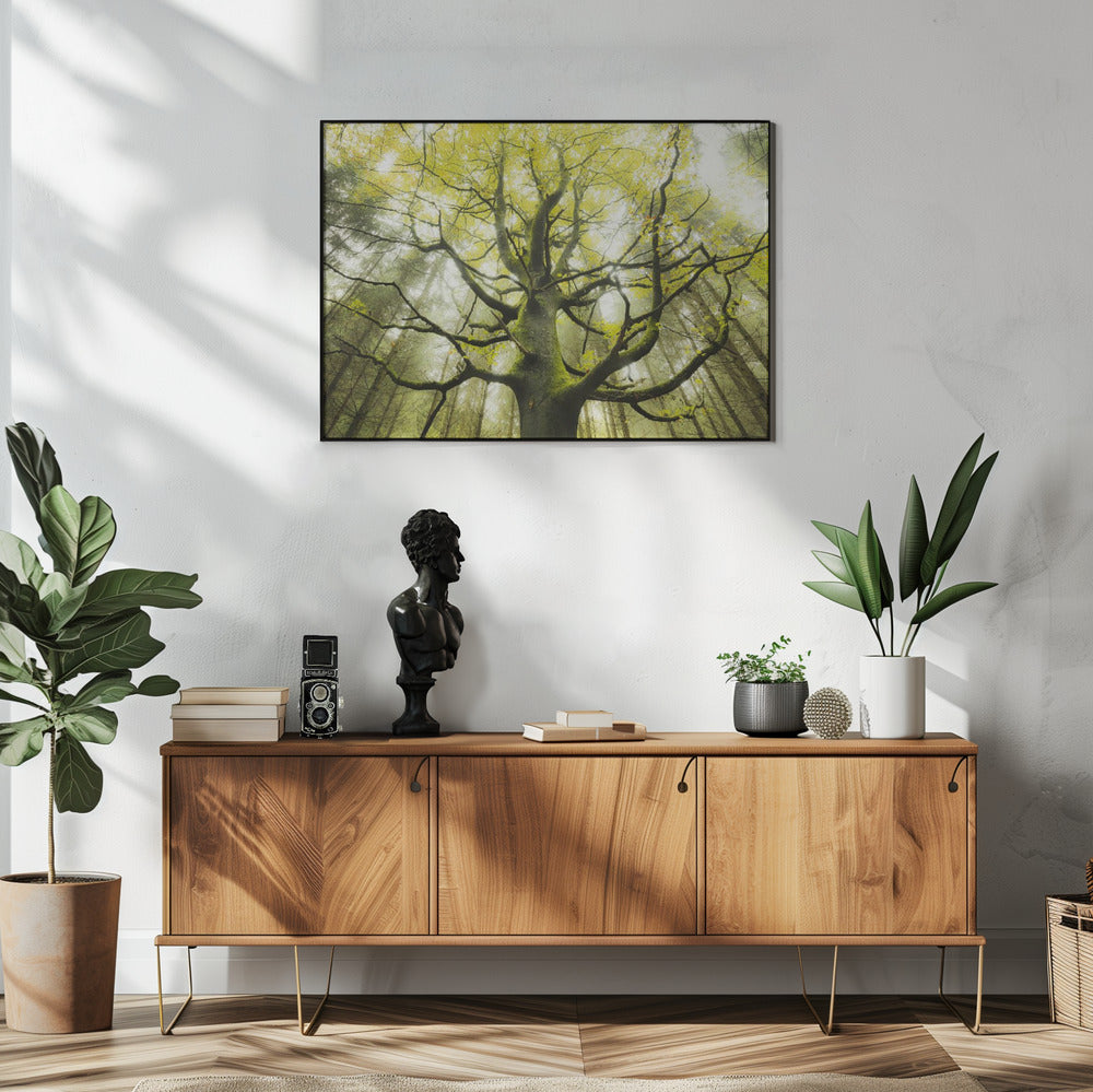 The Dream Tree | Poster