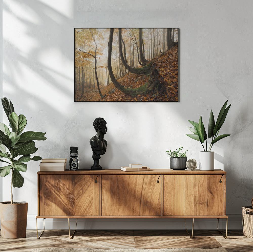 Mystiek herfstbos | Poster