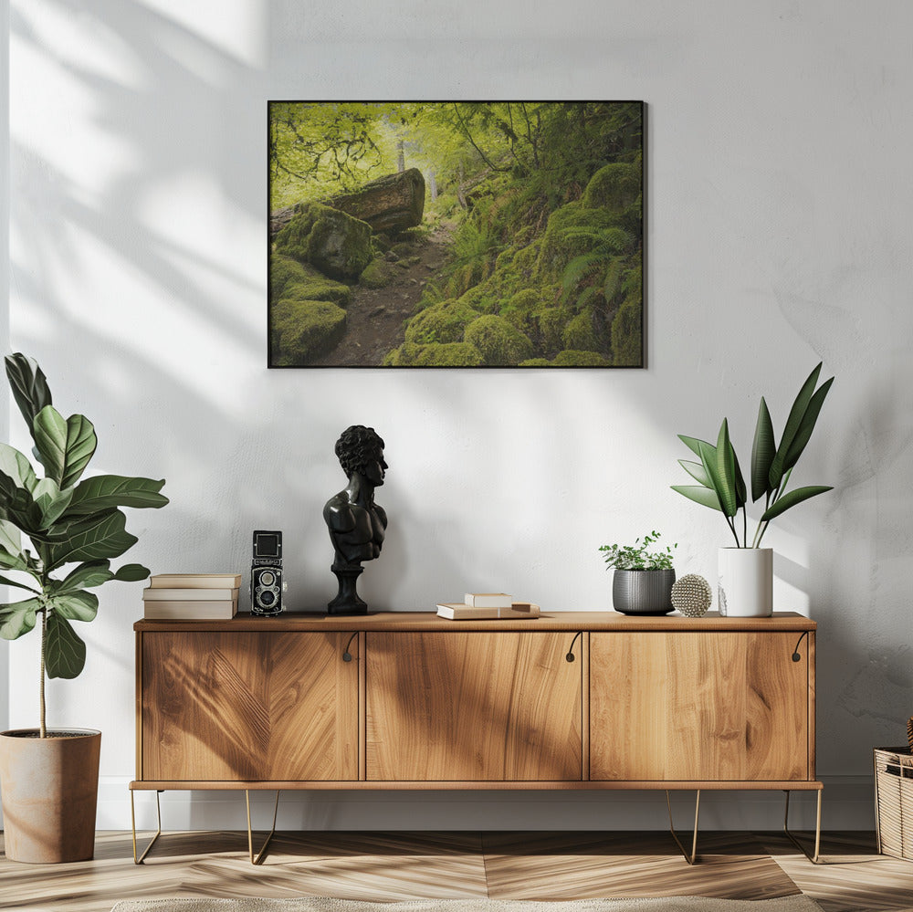 Mossig pad | Poster