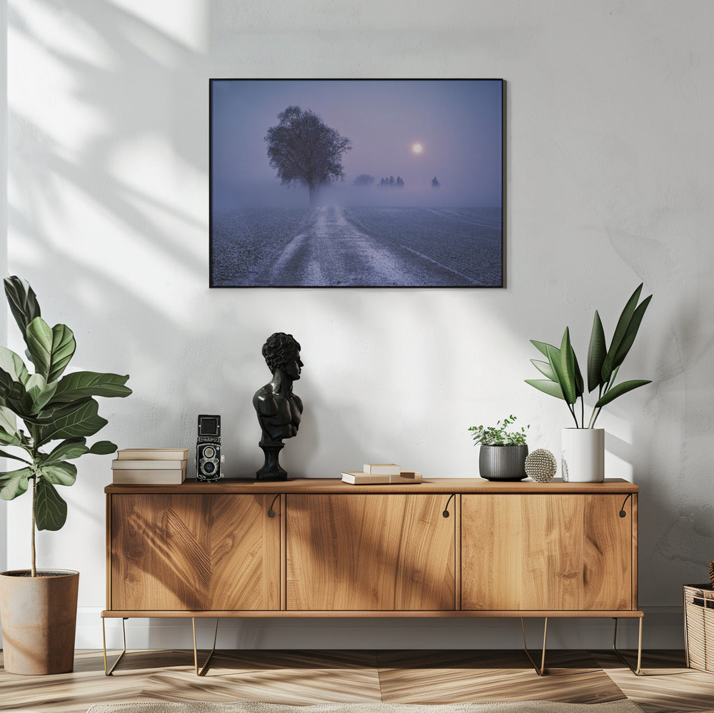 Maanverlichte pad | Poster