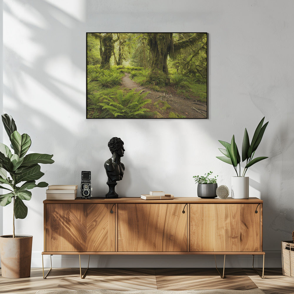 Hoh Rainforest | Poster