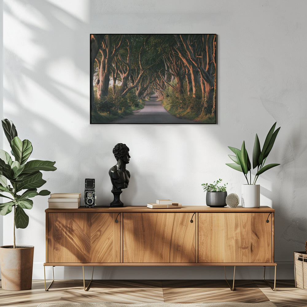 Rode Laan | Poster