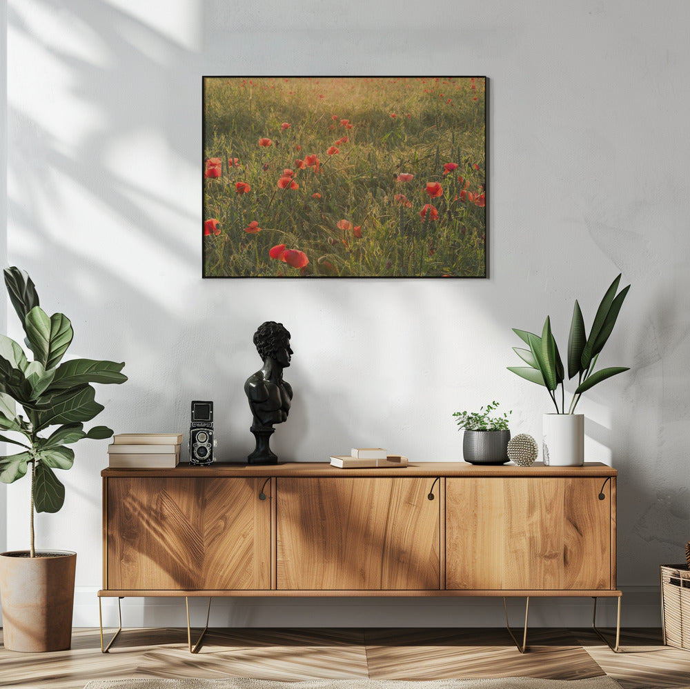 Klaproos Wereld II | Poster
