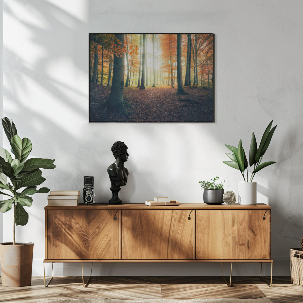 Herfst in het bos | Poster