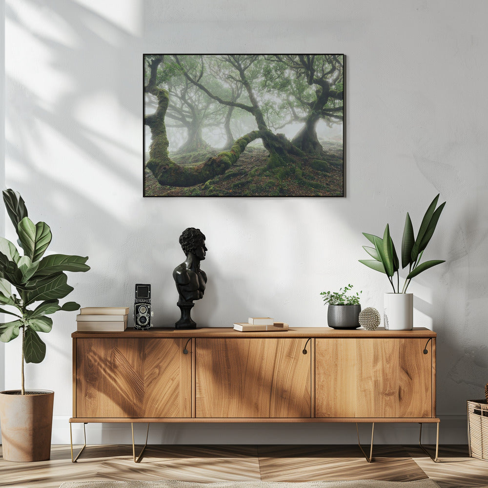 Mystiek Laurierbos | Poster