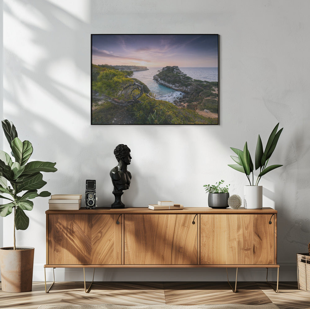 Baydreams | Poster