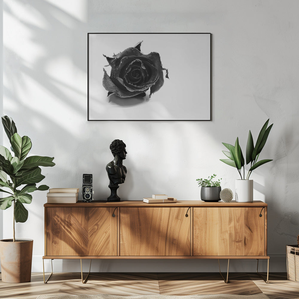 Rose Noir | Poster