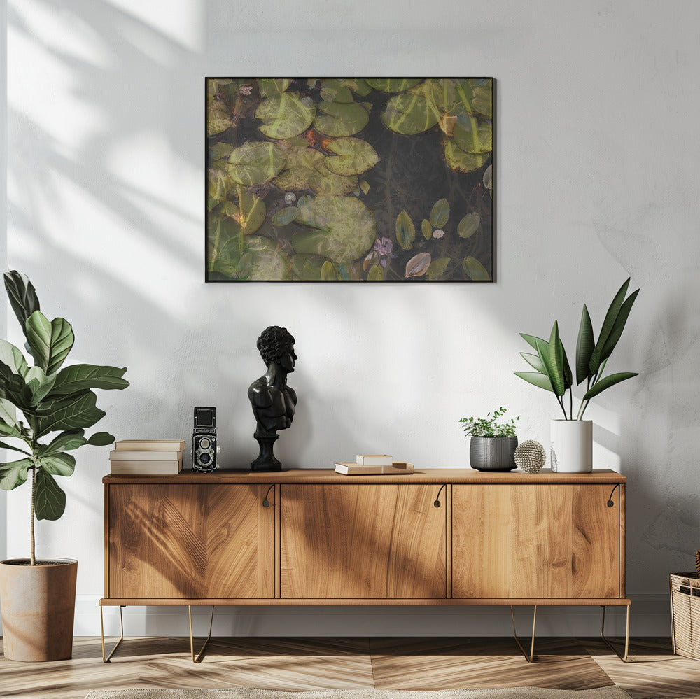 Vijverplanten | Poster