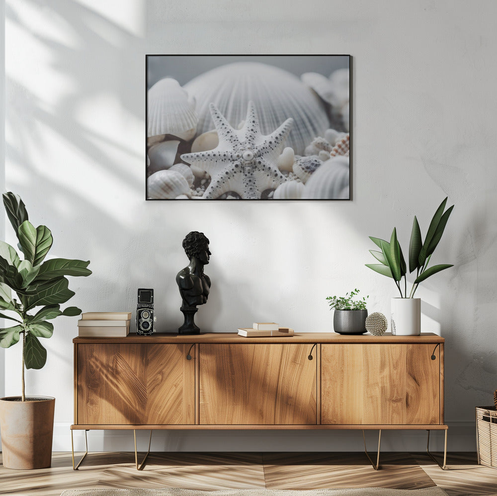 Schelpensymfonie | Poster