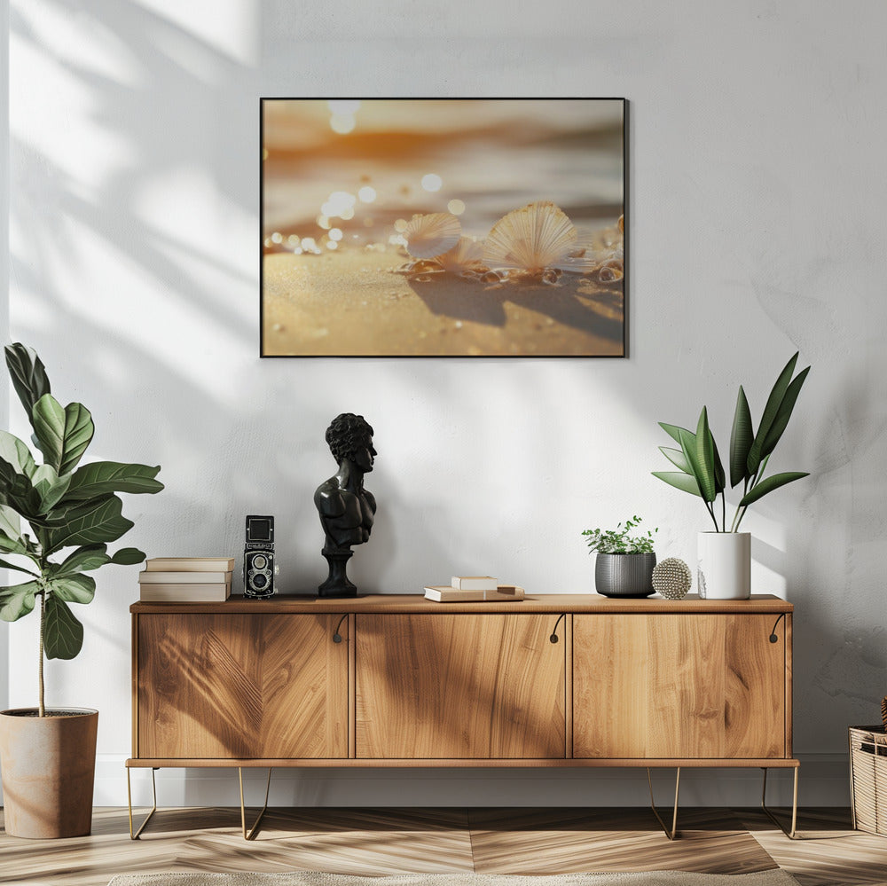 Zonovergoten schelpen | Poster