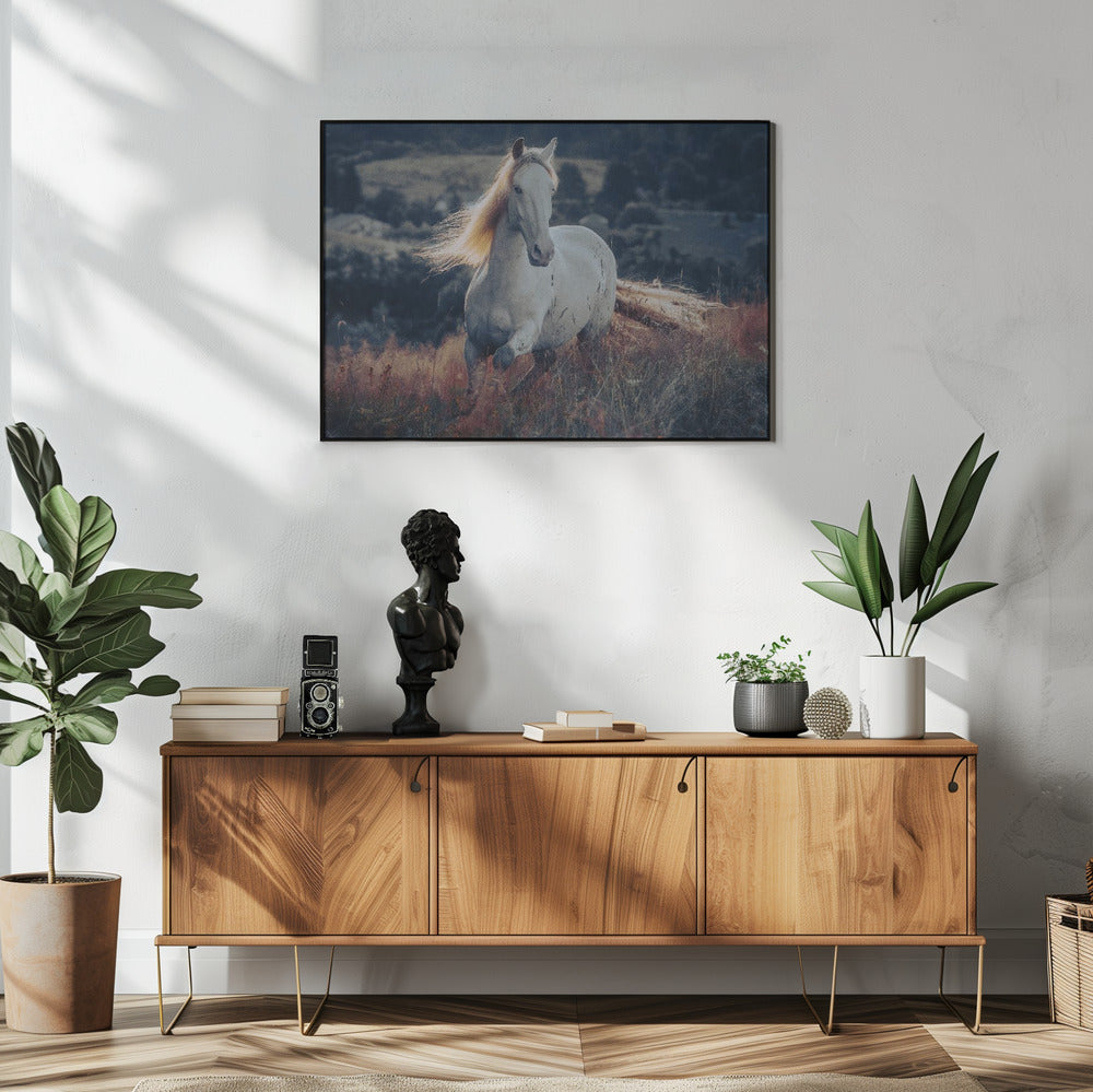 een kort verhaal over zonsopgang | Poster