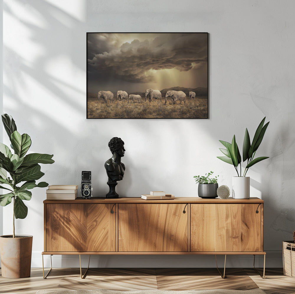 Gratis Olifanten | Poster