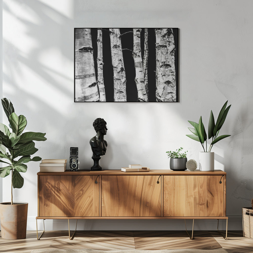 Berkenbomen | Poster