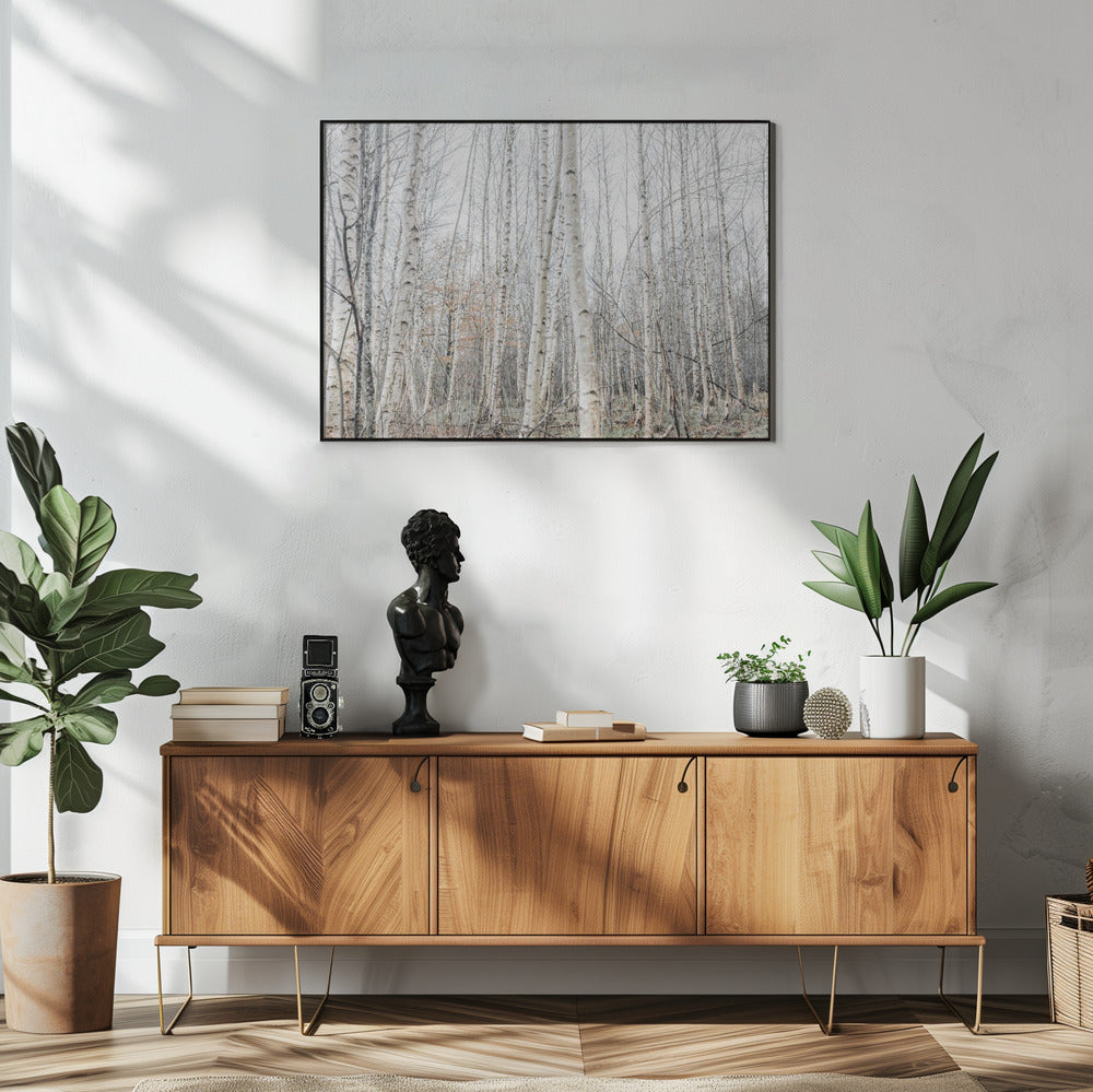 Berkenbomen 9 | Poster