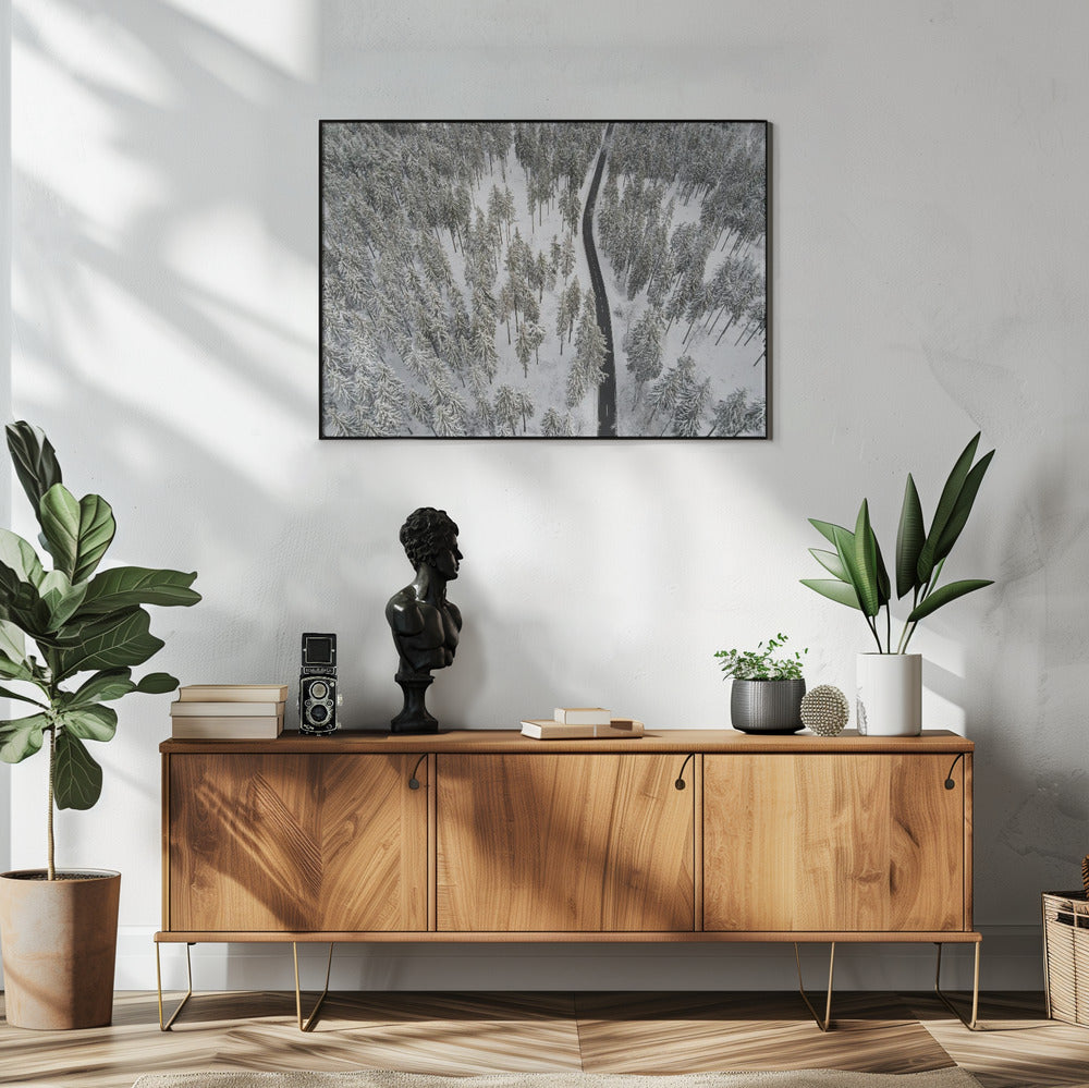 Besneeuwde bomen 5 | Poster