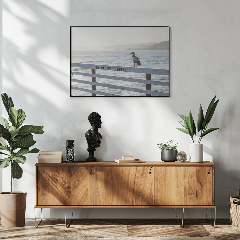 Vogels niet voeren | Poster