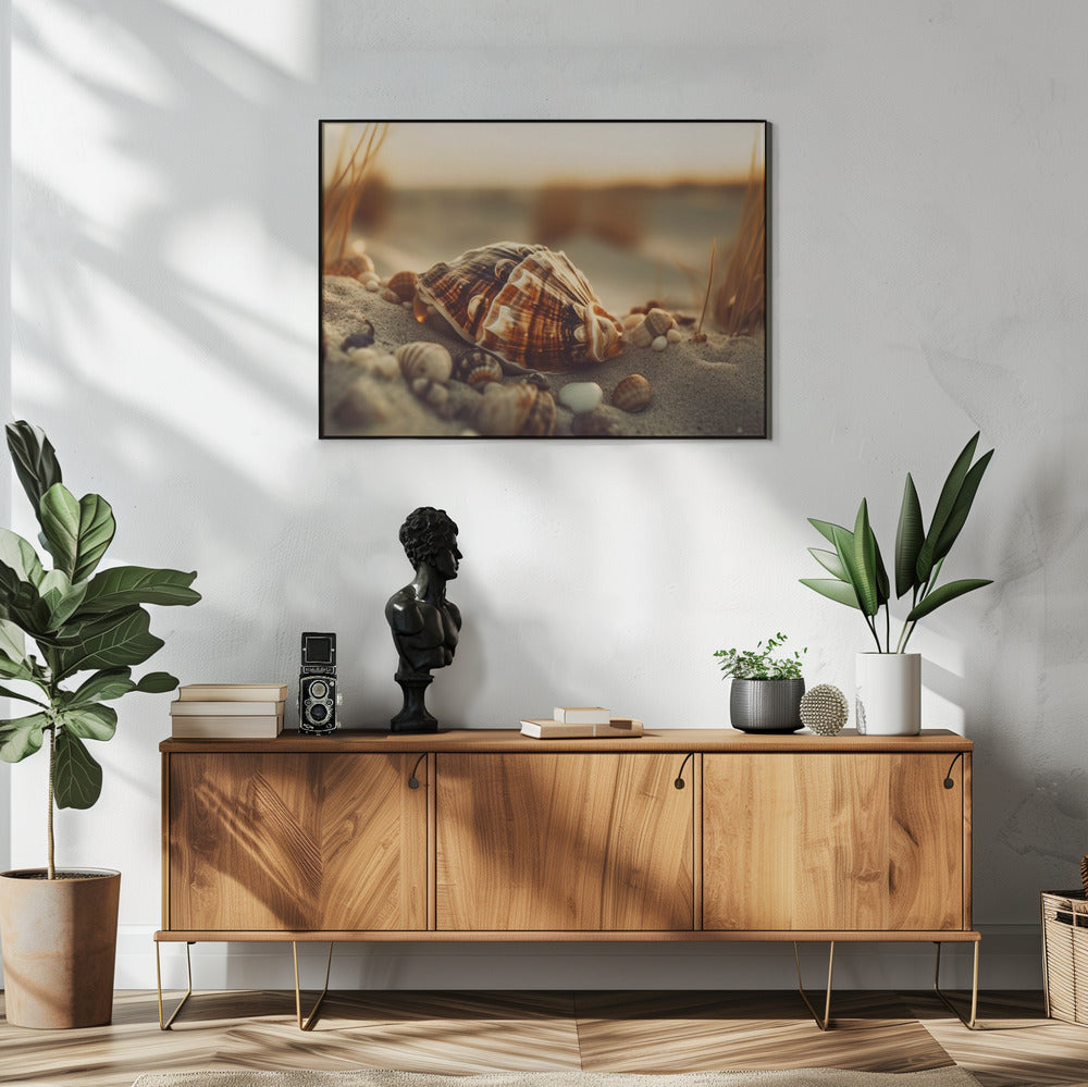 Schelpen bij zonsondergang | Poster