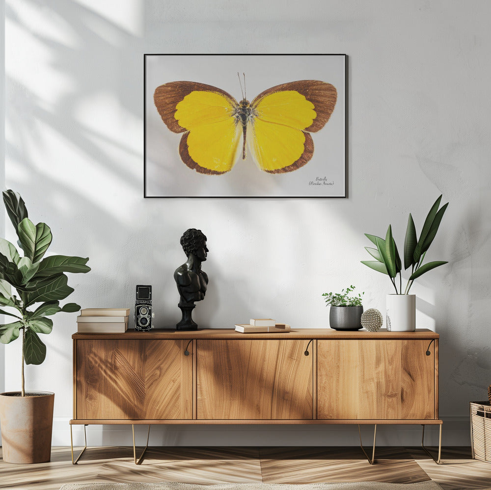 Butterfly - 2 | Poster