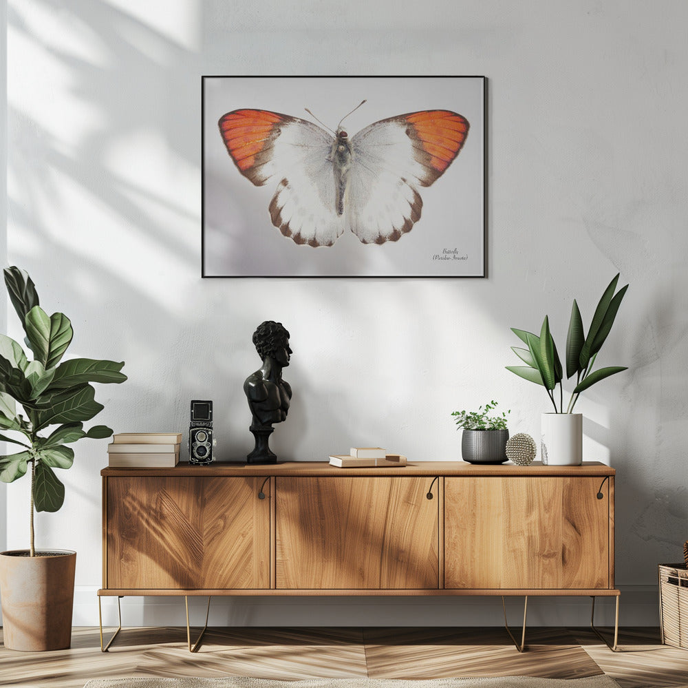 Butterfly - 3 | Poster